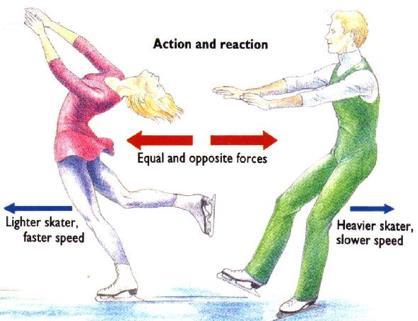 down. Action Force: Hammer hits the nail with a force of 8 N Reaction Force: Nail pushes back with a force of 8 N up. 2.