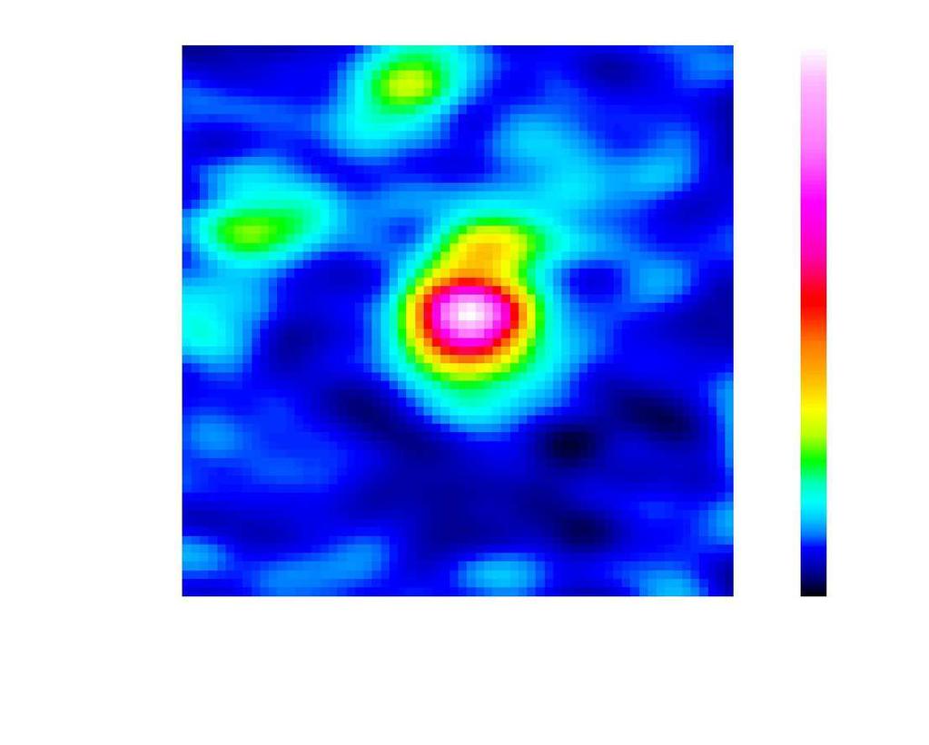 (a) (b) (c) 퐼 " [Jybeam +, kms +, ] 500pc pseudoring SF GMCs CND spiral 500pc (d) (e) (f) Molecular torus radius 푟 = 32± 5pc 푆 " [Jybeam +, ] CND 50pc Core (radio continuum, molecular gas, X-ray