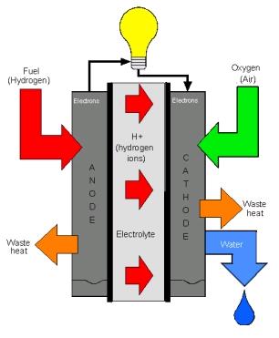 expensive need large cell to produce sufficient electrical energy. The most common type of fuel cell is the HYDROGEN- OXYGEN FUEL CELL.