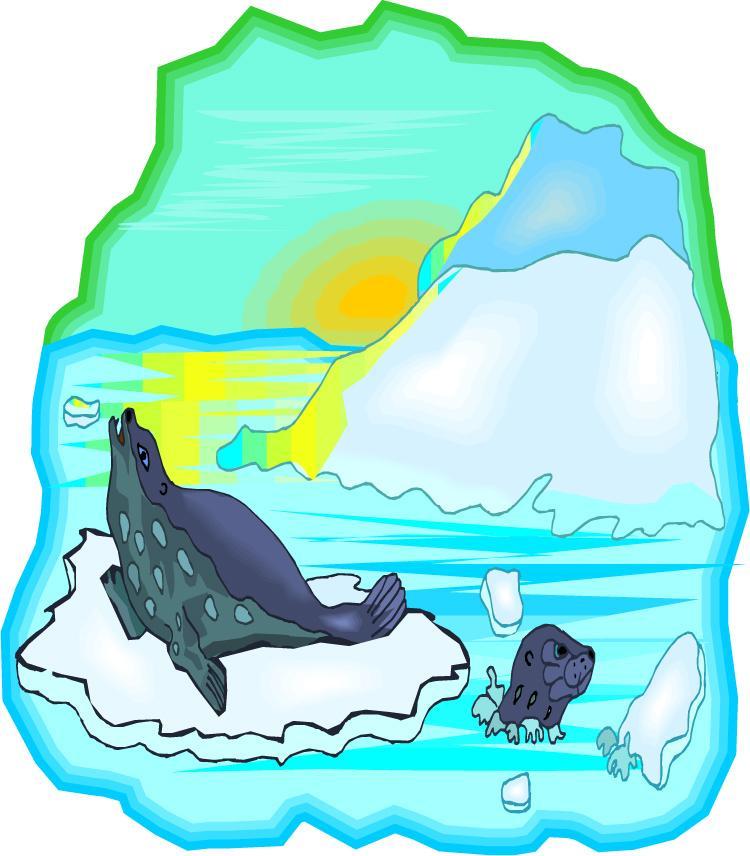 Date Grade Seals of Antarctica Cyber Starter Seals are found not only in Antarctica but around the world. Find out more about the seals of Antarctica.