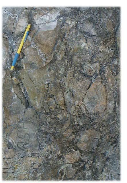 Cathedral Peal lithocap with quartz alunite ledges, Cerro Casale, Chile Filter WR Geochemistry use samples