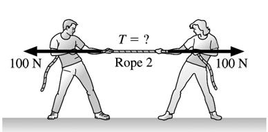 Example: Pulling a Rope (1) 1 A student pulls horizontally with a force of 100 N on a rope attached to a wall.