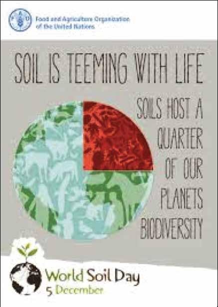 REAL FACT There is so much natural competition in the soil, that applying non-indigenous microbes to