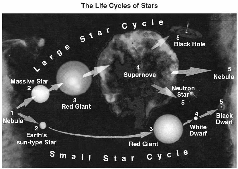 Describe the star cycle of a star like the