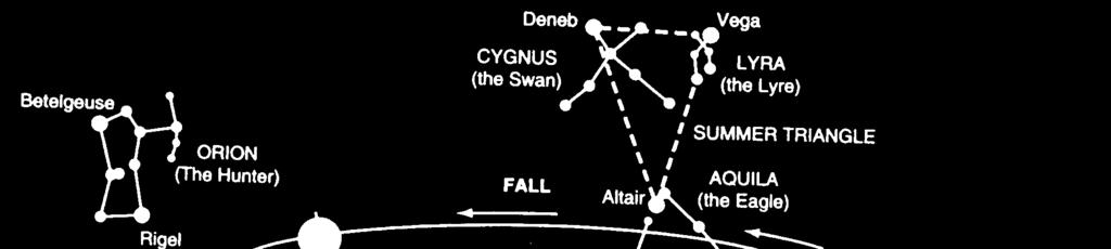 1. The diagram to the right represents the major stars of the constellation Orion, as viewed by an observer in New York State.