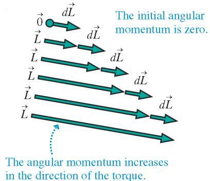 Initially, the angular momentum is zero.