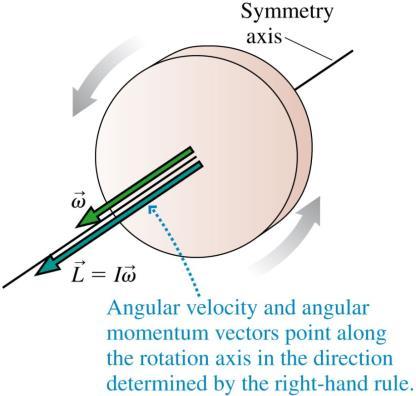 Angular Momentum of a Rigid Body For a rigid body, we can add the angular momenta of all the