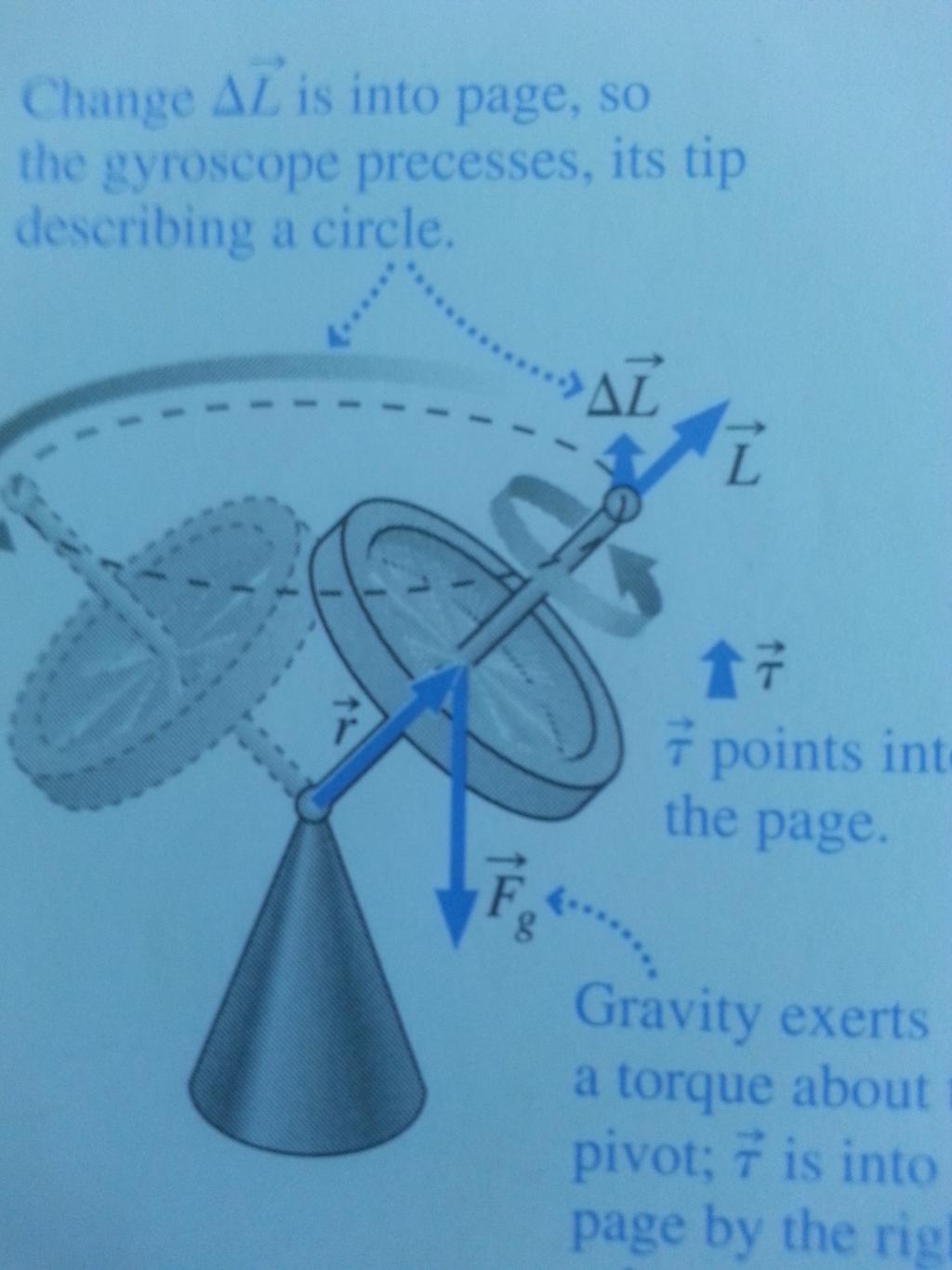 Precession Diagram from the text: Gravity exerts torque t is into the page by