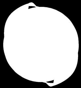 Orbit View from orbit normal 20
