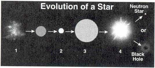 14. What is the first stage in the life cycle of a star? A. Black hole B. Dwarf star C. Main-sequence star D. Stellar nebula 15.