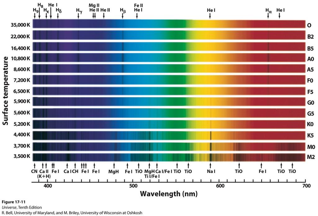 Spectroscopy of Stars The main types of stellar spectra and the dominate spectral lines.