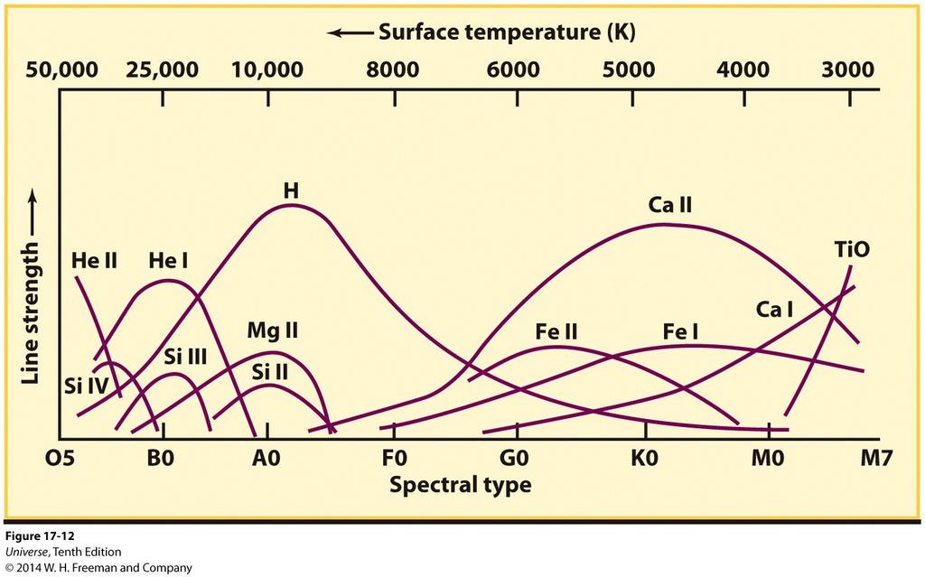 Spectroscopy of Stars Each element has a characteristic temperature range where the