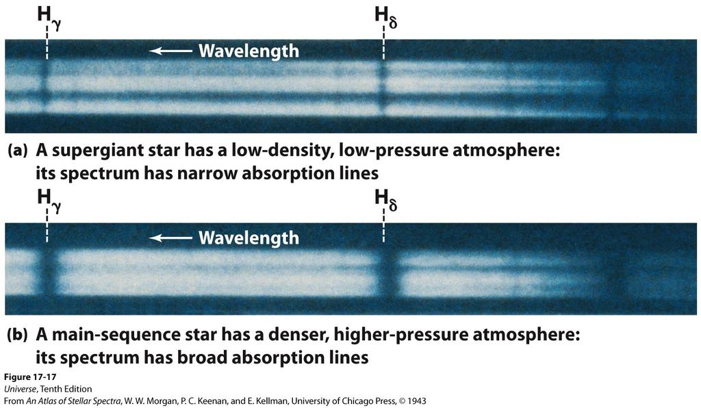 Luminosity Classes Large stars and small stars can have the same temperature. The spectra of two B8 stars (one a supergaint and one a main sequence) are show.