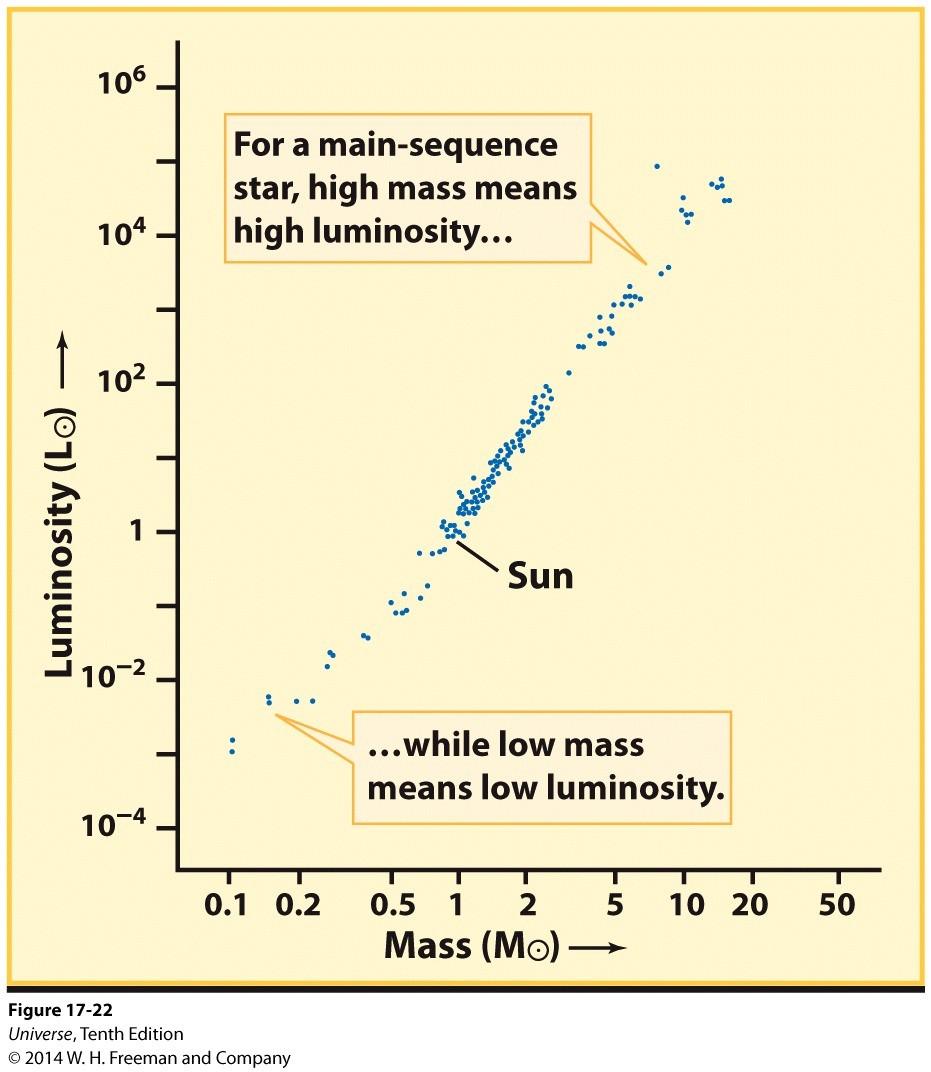Mass and Luminosity Knowing the mass of main sequence stars shows an important relationship to luminosity.