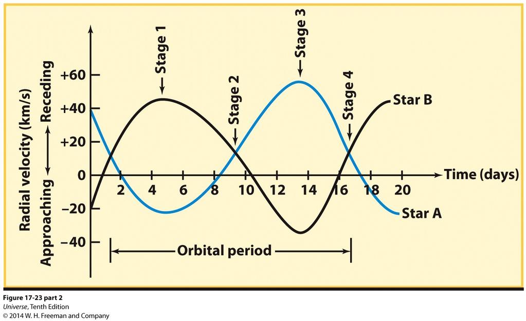 Spectroscopic Binary Stars The radial velocity curve shows the period. From the radial velocity curve, the ratio of masses can be determined.