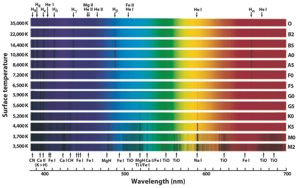 classified into spectral types (subdivisions of the