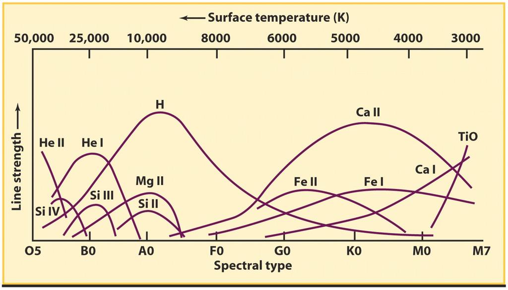 The spectral class and type of a star is directly related to its surface temperature: O stars are the