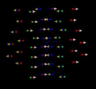 These multicellular structures illustrate different combinations of orientation switches leading to different combinations of layers of bilaterally symmetric tissue.