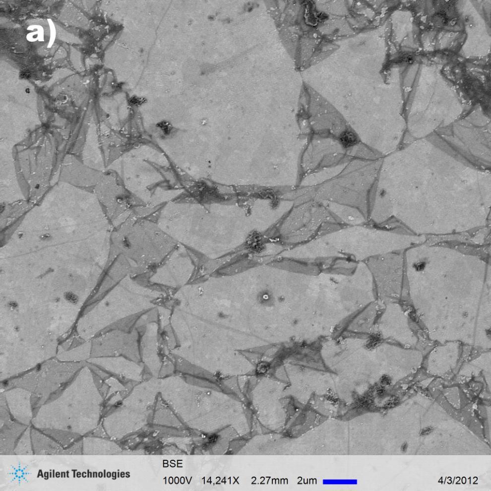Graphene flakes Graphene flakes on Cu substrate