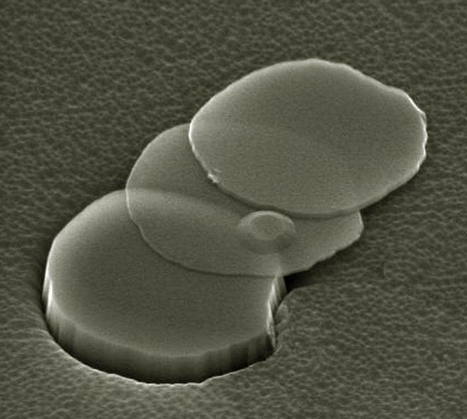 microscopy Nano Letters, 8,