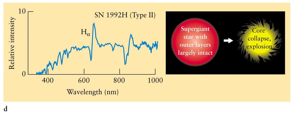 Supernova asstandardcandles Standard candle: an object whose luminosity is known and reveals its distance by a brightness measurement Two kinds of supernova: Type