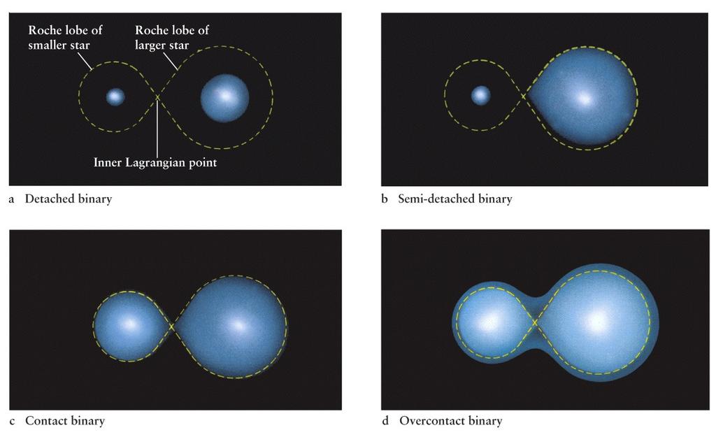 Mass transfer in binary stars Supernova What happens when binary star