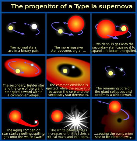 Type Ia Supernova For by low-mass stars in binary system Transfer mass from companion to reach the Chandrasekhar