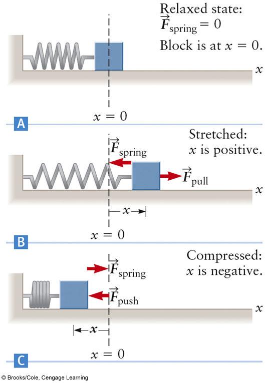 Kinetic Mechanical The force exerted by the spring has the form: F spring = k x At equilibrium, x = 0: x is the amount the end of the spring is displaced