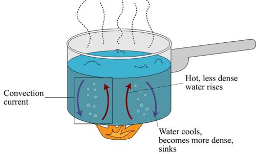 Convection The transfer of heat through a fluid, such as liquid or gas The hot, less
