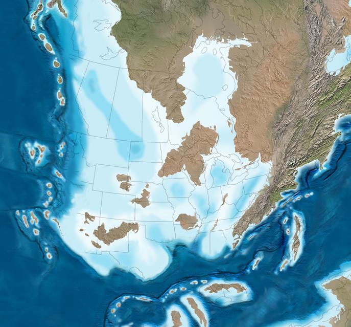 Paleozoic Appalachian Foreland Basin Creation of Petroleum Systems Loading on margin creates