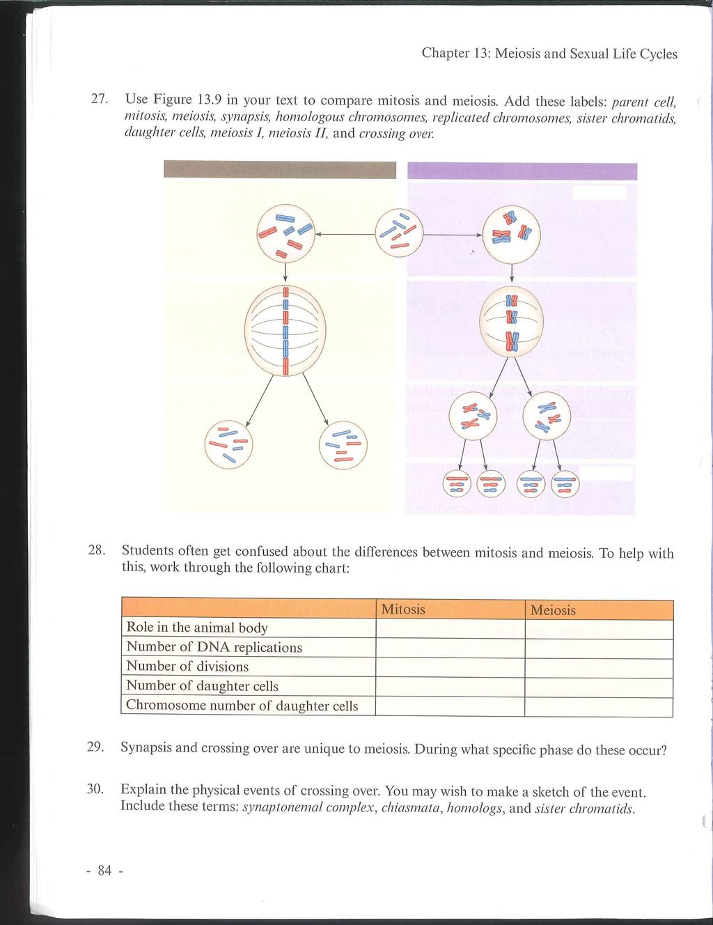 27. Use Figure 13.9 in your text to compare mitosis and meiosis.