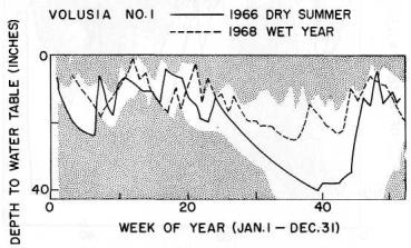 the water table falls below 26 inches in figure 1 for the 1965 or 1967 data, a smooth drop in the water level occurs. In 1967, the period from week 33 to week 43 shows a fairly steady decline.