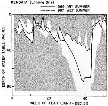 This can be seen in the 1965 data in figure 1. The first 5 weeks (January) of 1965 had a low (>46 in.) water table but above-normal precipitation (2.17 in.