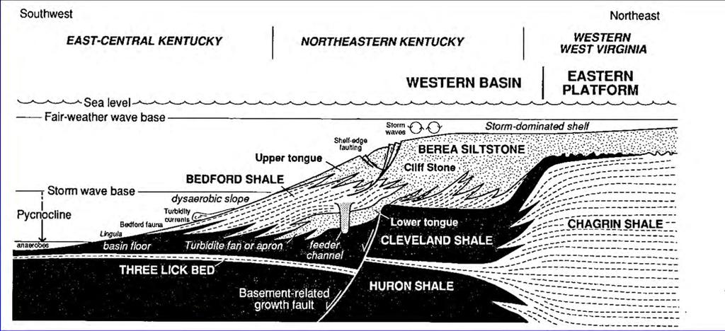 Background Storm-dominated shelf Berea Basin floor Turbidite fans/ aprons Feeder channel THREE LICK BED CLEVELAND SHALE HURON SHALE Basement-related growth fault HURON SHALE Based on