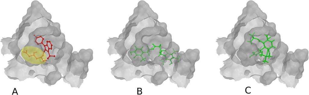 Girschick et al. Journal of Cheminformatics 2013, 5:50 Page 6 of 22 Figure 8 Selected HMGR ligand binding poses. Only the active site of the receptor is shown. A: Fluvastatin receptor binding.