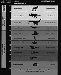 3. From the end of Precambrian time to the present a. Three eras 1) Paleozoic Era 2) Mesozoic Era 3) Cenozoic Era b. There eras are further divided into periods c.