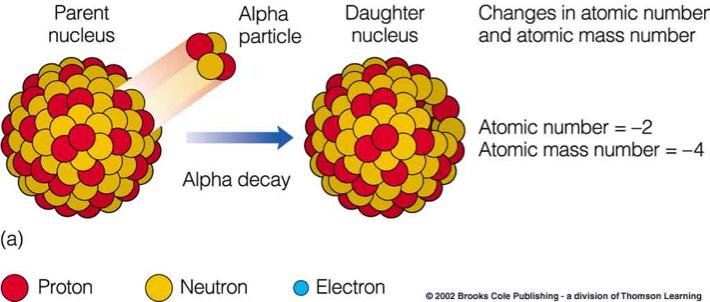 - loss of 2 atomic numbers and 4 mass numbers 2) Beta decay: loss of an electron from a neutron - increase of one