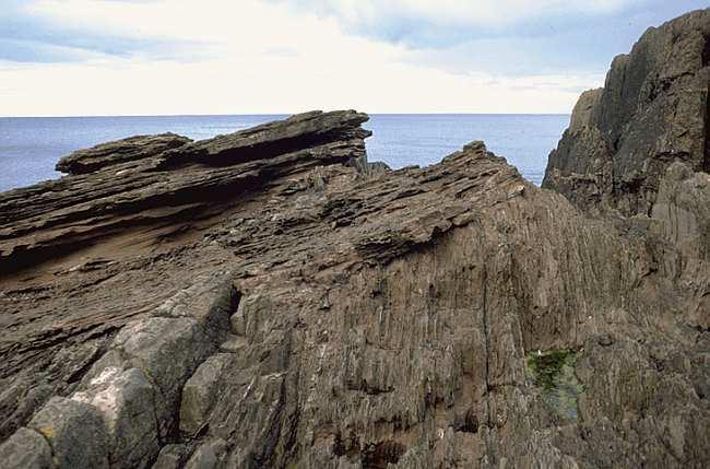7. Principle of Unconformities Unconformities are surfaces of erosion or non-deposition that interrupt the continuity of the geologic