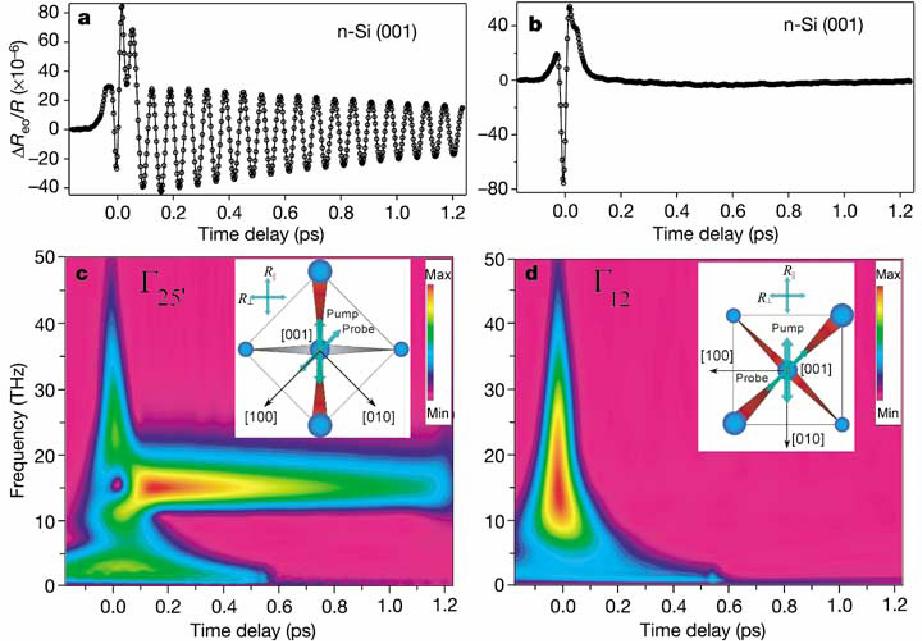 The response of the coupled carrier-lattice system in Si formation of the coherent phonon ΔR ~exp(-t/1.3)cos[(15.24t+.16t 2 +.
