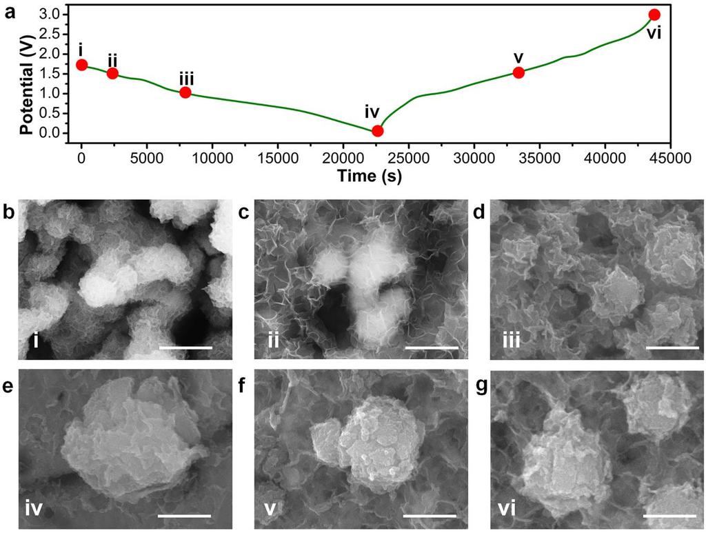 Supplementary Figure 12 Morphological evolution of crumpled graphene during electrochemical process.