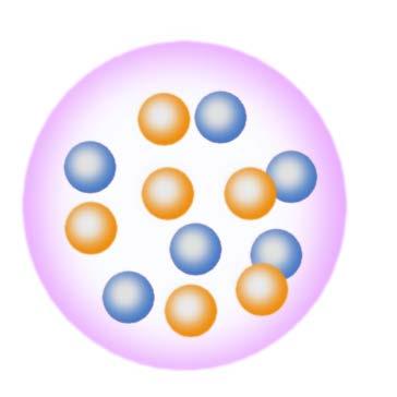 poon neuon Nucle Nucleon many-body sysem Aoms Molecules