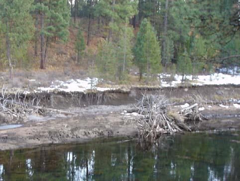 photos illustrate the influence of the jams on accumulating large wood, affecting sediment deposition, and providing stable aquatic habitat. Figure 4-7.