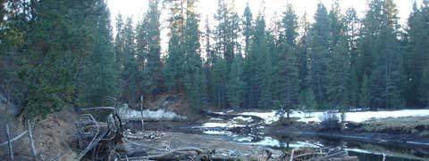 Evaluation of Project Success and Contributions to Improving Future Projects The La Pine State Park project exemplifies a more passive approach to large wood introduction to the river network.