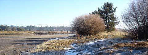 Figure 4-17. Example reference riparian conditions on the Upper Deschutes River near the Sunriver Marina (left) and on the Fall River (right).