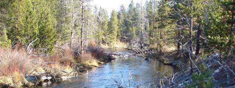 With contributions from tributary streams, greater flows increase the low flow habitat volume in the Upper Deschutes River.