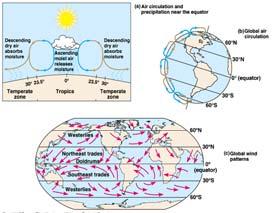 World Climate: Currents Warm air rises at the equator. Cool air descends.