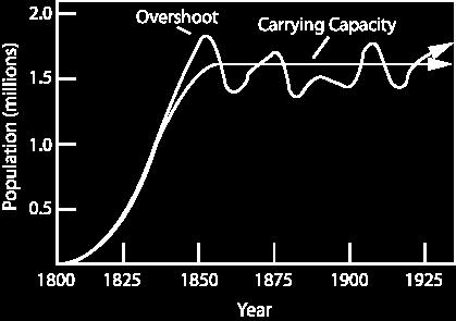 Carrying Capacity Maximum population
