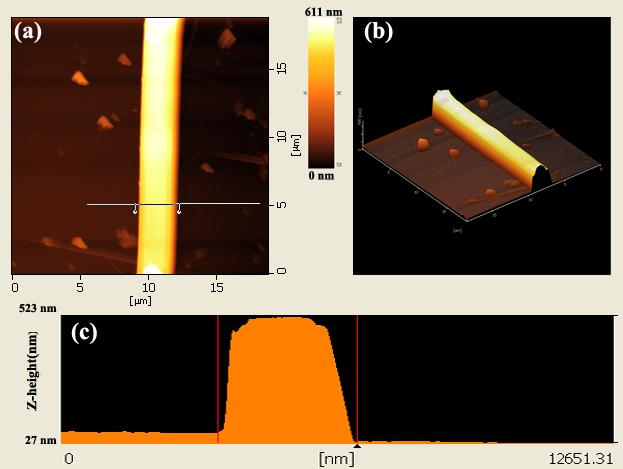 Fig.S4 2D (a) and 3D (b) AFM images over a single microtub