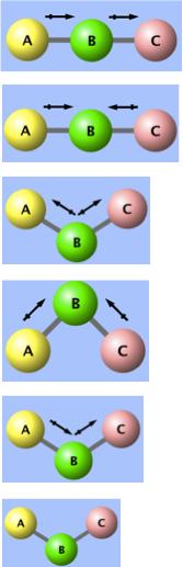 Molecule Which atom is most electronegative in the molecule?