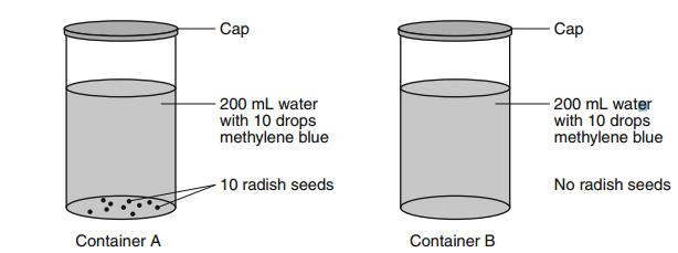 12. A student set up the experiment shown below to determine if radish seeds take in oxygen as